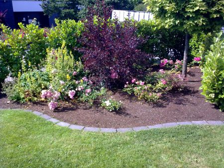 Pflegeleichte Gartengestaltung mit Piniendekorrinde als Unkrautschutz