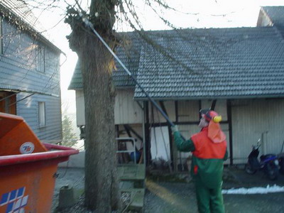 Obstbaumschnitt Kronenschnitt Schneid- und Fällarbeiten in Reichshof Nümbrecht Waldbröl