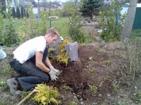 Pflanzung und Erneuerung von Stauden und Blumen